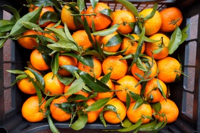 Foto Clementini Varietà Caffen Calibro 2 Origine Italia Marchio Hilias         1