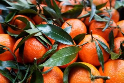 Foto Clementini Varietà Caffen Calibro 2 Origine Italia Marchio Hilias         2