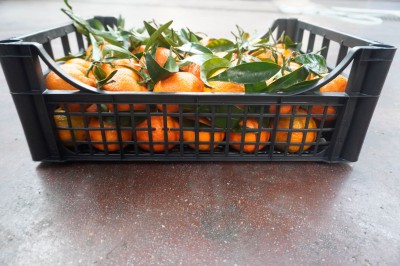 Foto Clementini Varietà Caffen Calibro 2 Origine Italia Marchio Hilias         3