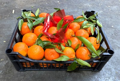 Foto Clementini Affogliati Calibro 1X Origine Italia Marchio Hilias         1