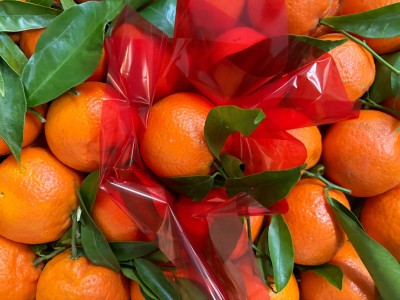 Foto Clementini Affogliati Calibro 1X Origine Italia Marchio Hilias         2