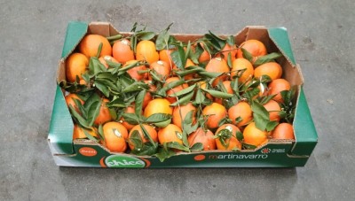 Foto Clementini Varietà Tango Gold Calibro 1xx Origine Spagna Marchio Chico  1