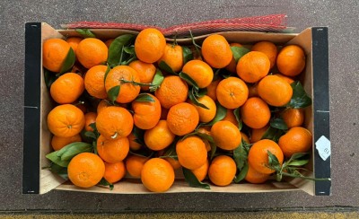 Foto Clementini Affogliati Origine Spagna Marchio Vitavega 3