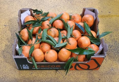 Foto Clementini Affogliati Calibro 2 Origine Italia Marchio Agricom  1