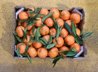 Foto Clementini Affogliati Calibro 2 Origine Italia Marchio Agricom  3