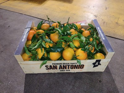 Foto Clementini Varietà Oronules Calibro 1 Origine Spagna Marchio Sant'Antonio 1