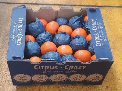 Foto Clementini Varietà Nadorcott Calibro 1X Origine Sud Africa Marchio Citrus Crazy 1
