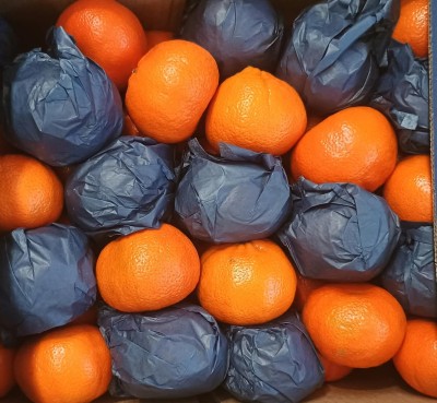 Foto Clementini Varietà Nadorcott Calibro 1X Origine Sud Africa Marchio Citrus Crazy 2