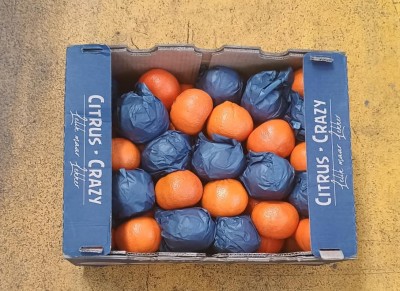 Foto Clementini Varietà Nadorcott Calibro 1X Origine Sud Africa Marchio Citrus Crazy 3