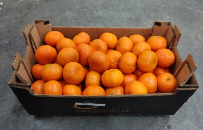Foto Clementini Nardorcott Calibro 1X Origine Sud Africa Marchio Swellen Fruit     1