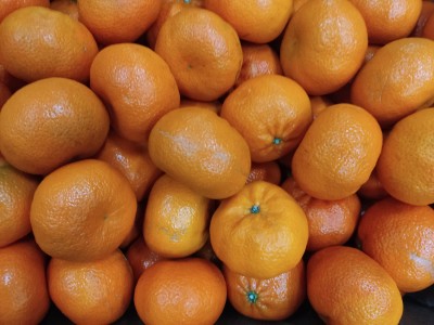 Foto Clementini Nardorcott Calibro 1X Origine Sud Africa Marchio Swellen Fruit     2