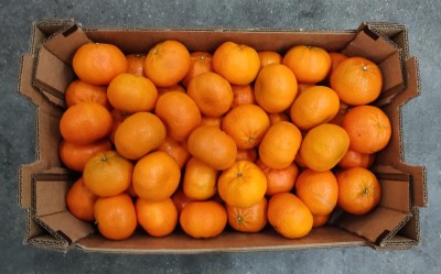 Foto Clementini Nardorcott Calibro 1X Origine Sud Africa Marchio Swellen Fruit     3