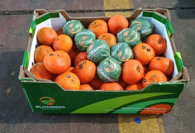 Foto Clementini  Varietà Nadorcott Calibro 1x Origine Marocco Marchio Blooming 1