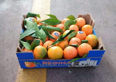 Foto Clementini Affogliati Calibro 1x Origine Italia Marchio La Regina di Corigliano        1