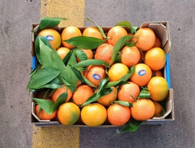 Foto Clementini Affogliati Calibro 1x Origine Italia Marchio La Regina di Corigliano        3
