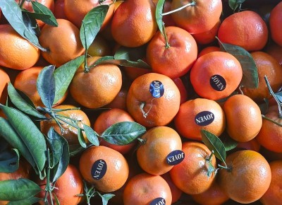 Foto Clementini Varietà Red Nadorcott Calibro 1 Origine Spagna Marchio Joyen  2