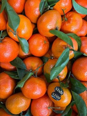 Foto Clementini Varietà Tango Gold Calibro 1x Origine Spagna Marchio Joyen 2