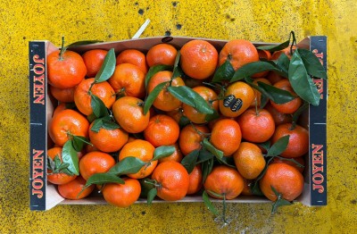 Foto Clementini Varietà Tango Gold Calibro 1x Origine Spagna Marchio Joyen 3