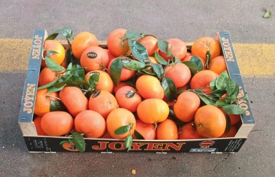 Foto Clementini Varietà Nadorcott Calibro 1x Origine Spagna Marchio Joyen  1