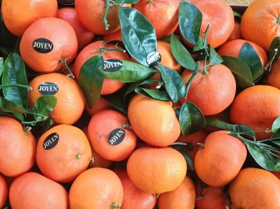 Foto Clementini Varietà Nadorcott Calibro 1x Origine Spagna Marchio Joyen  2