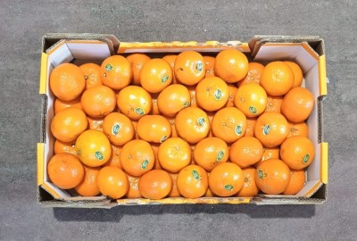 Foto Clementini Varietà Orri Calibro 1 Origine Israele Marchio Shoham      3