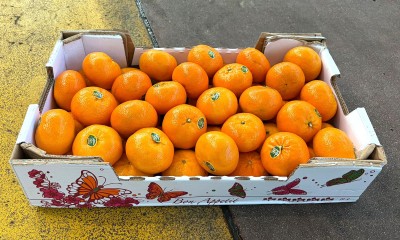 Foto Clementini Varietà Orri Calibro 1x Origine Israele Marchio Shoham   1