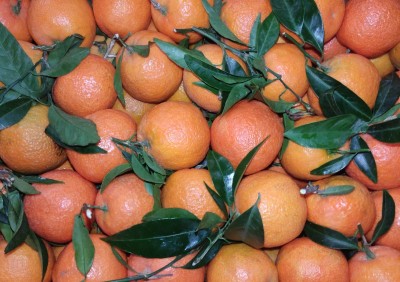 Foto Clementini Senza Semi  Calibro 2 Origine Spagna Marchio Più Natura 2