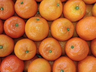 Foto Clementini  Varietà Oronules Calibro 1 Origine Spagna Marchio Piu Natura 2