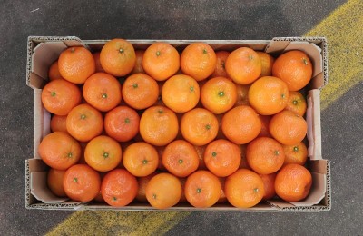 Foto Clementini  Varietà Oronules Calibro 1 Origine Spagna Marchio Piu Natura 3