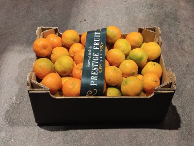 Foto Clementini Calibro 1/2 Origine Italia Marchio Prestige Fruit 1