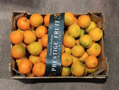 Foto Clementini Calibro 1/2 Origine Italia Marchio Prestige Fruit 3