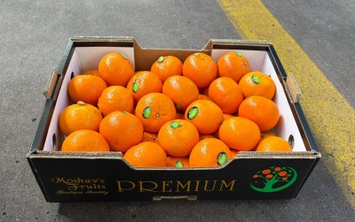 Foto Clementini Orri Calibro 1x Origine Israele Marchio Banafruit     1