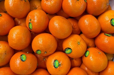 Foto Clementini Orri Calibro 1x Origine Israele Marchio Banafruit     2