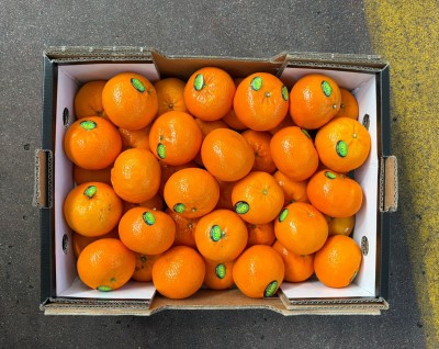 Foto Clementini Orri Calibro 1x Origine Israele Marchio Banafruit     3