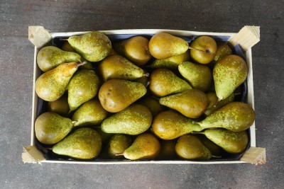 Foto Pere Conference Calibro 60+ Origine Italia Marchio Sattin  3