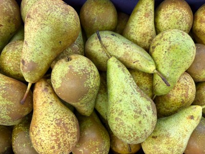 Foto Pere Conference Calibro 70/80 Origine Olanda Marchio Agricola Gloria 2