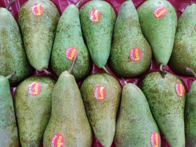 Foto Pere Conference Calibro 18 Origine Italia Marchio Sattin 2