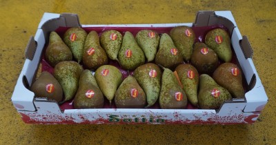 Foto Pere Conference Lavorazione In Padella  Calibro 20 Origine Italia Marchio Sattin  1