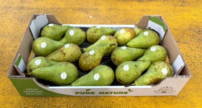 Foto Pere Conference Calibro 75/80 Origine Olanda Marchio Pure Nature 1