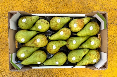 Foto Pere Conference Calibro 75/80 Origine Olanda Marchio Pure Nature 3