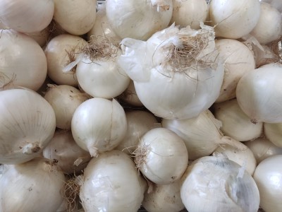 Foto Cipolle Bianche Origine Italia Marchio Arnone 2