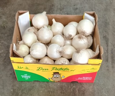 Foto Cipolle Bianche Origine Italia Marchio Don Patata   1