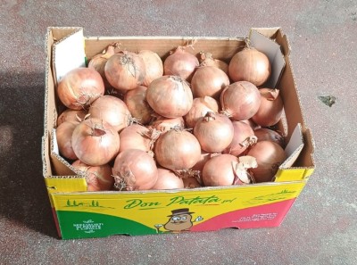 Foto Cipolle Dorate Origine Olanda Marchio Don Patata  1