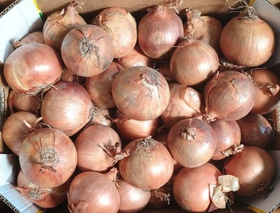 Foto Cipolle Dorate Origine Olanda Marchio Don Patata  2