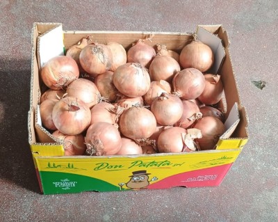 Foto Cipolle Dorate Origine Olanda Marchio Don Patata  3