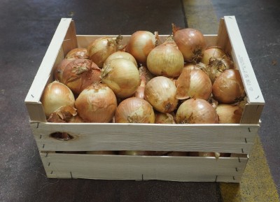 Foto Cipolle Dorate  Lavorazione In Legno  Origine Italia  Marchio Don Patata  1