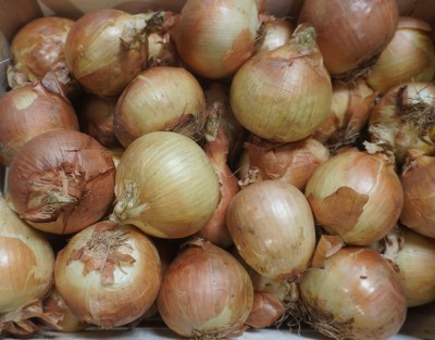 Foto Cipolle Dorate  Lavorazione In Legno  Origine Italia  Marchio Don Patata  2