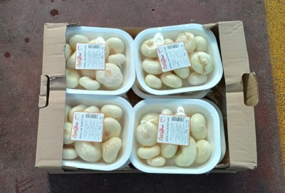 Foto Cipolle Borretane Confezione Da 8 vaschette Da 300 gr Origine Italia Marchio Mc Garlet 3