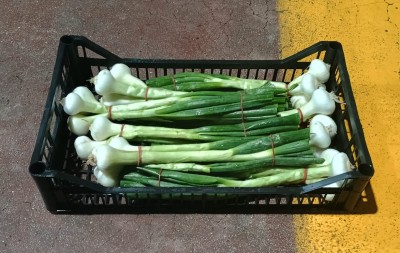Foto Cipolle Fresche Origine Italia Marchio Ambruosi  1