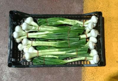 Foto Cipolle Fresche Origine Italia Marchio Ambruosi  2